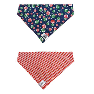 Foulard 2 en 1 pour chien moyen pour Noël - N024