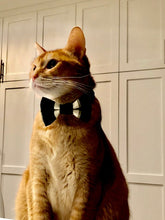 Charger l&#39;image dans la galerie, Nœud papillon pour chat ou petit chien - Noël no 25
