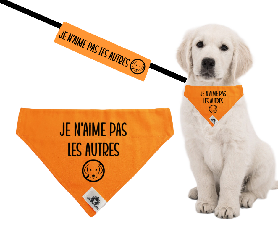 Kit manchon de laisse et foulard JE N'AIME PAS LES AUTRES CHIENS