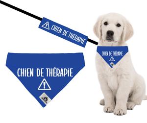 Kit manchon de laisse et foulard CHIEN DE THÉRAPIE