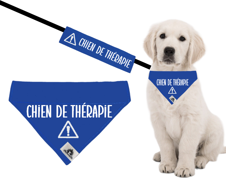 Kit manchon de laisse et foulard CHIEN DE THÉRAPIE