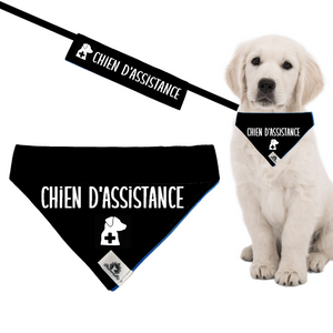 Kit manchon de laisse et foulard CHIEN D'ASSISTANCE