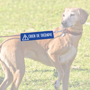 Manchon de laisse CHIEN DE THÉRAPIE pour Chien