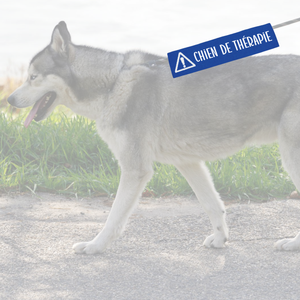 Manchon de laisse CHIEN DE THÉRAPIE pour Chien