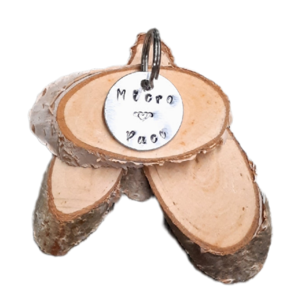 Médaille pour chien et chat - Micro puce