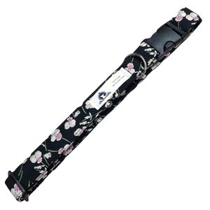 Collier pour chien et chat - C017