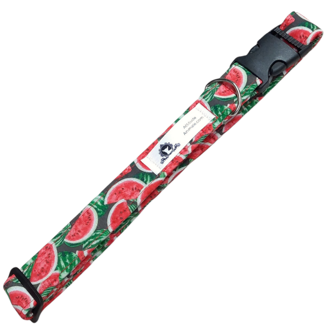 Collier pour chien et chat - C019