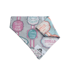 Charger l&#39;image dans la galerie, Foulard 2 en 1 pour chat et petit chien - StV022
