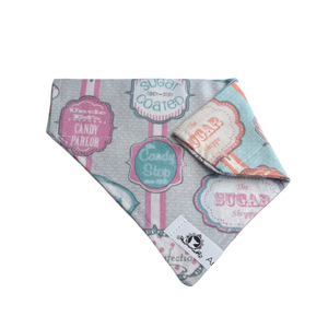 Foulard 2 en 1 pour chat et petit chien - StV022