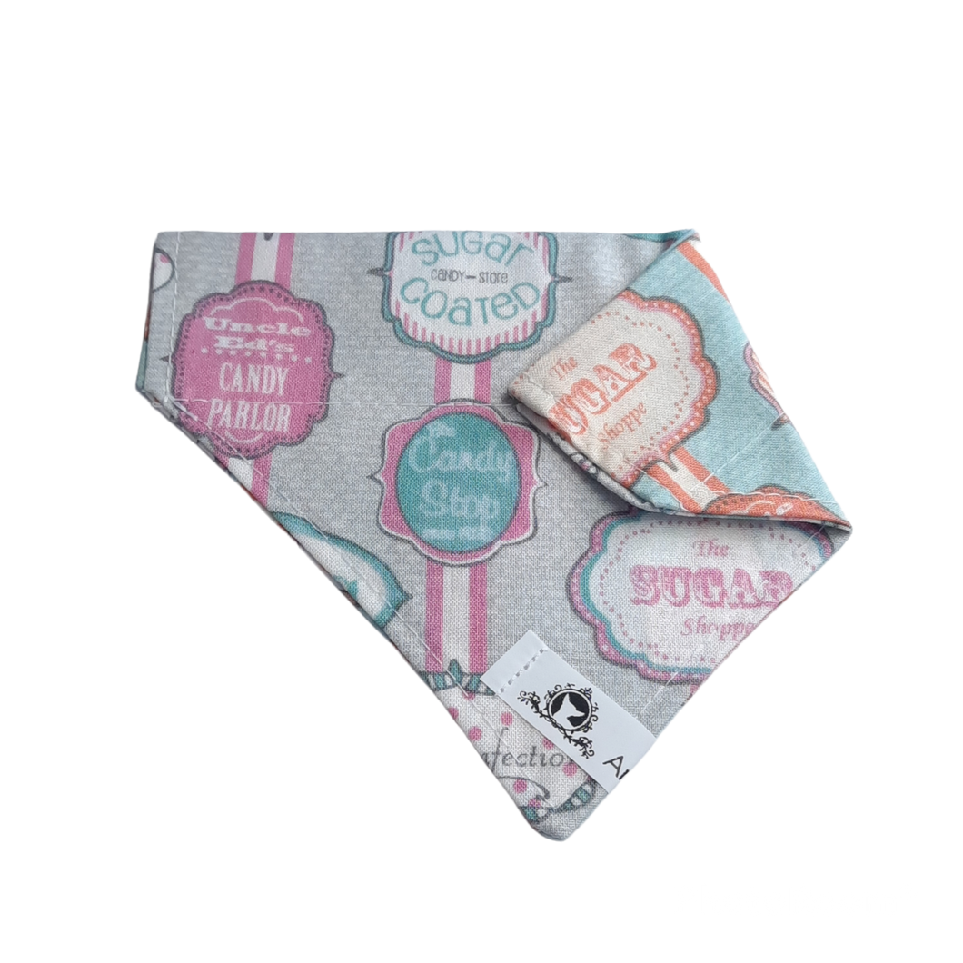 Foulard 2 en 1 pour chat et petit chien - StV022