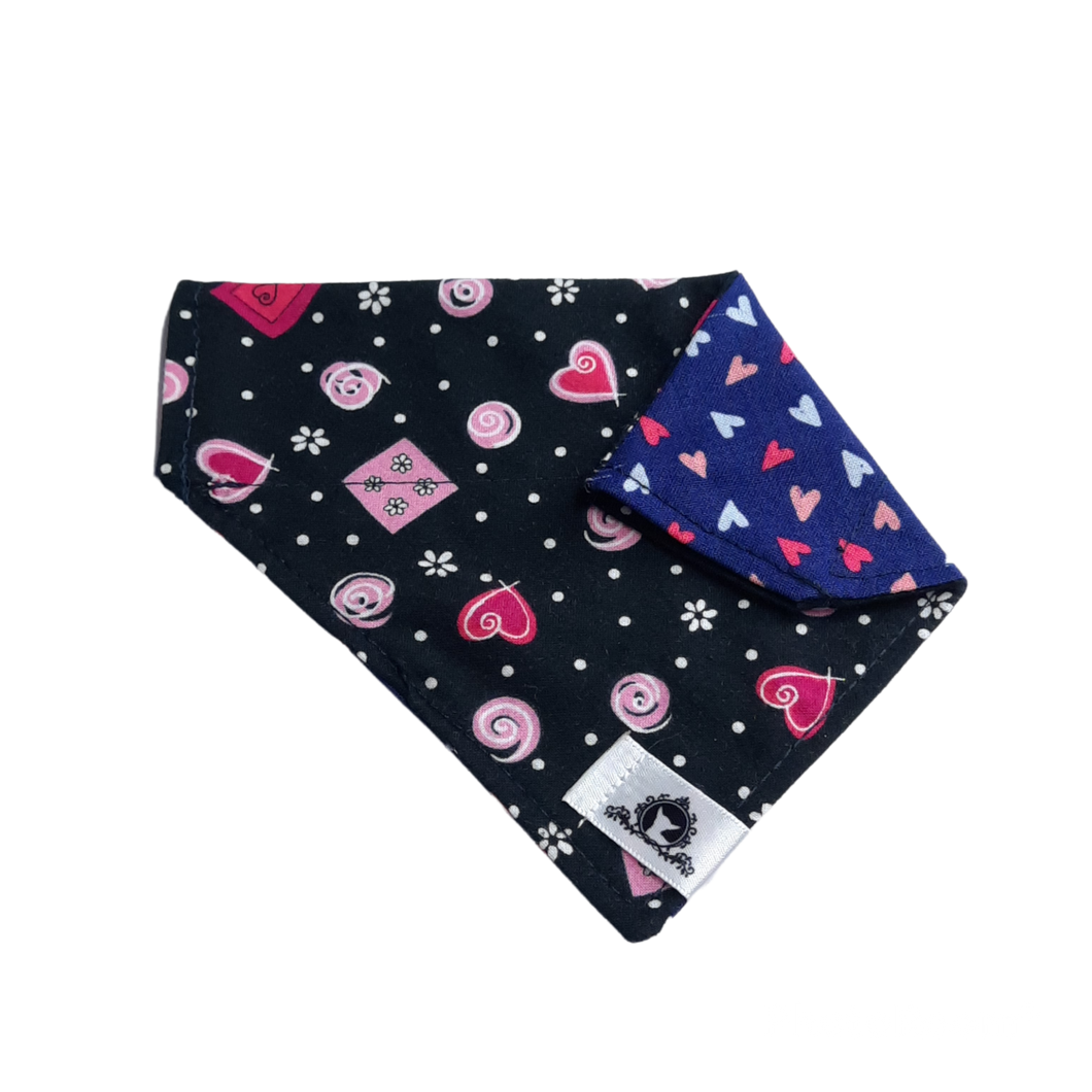 Foulard 2 en 1 pour chat et petit chien - StV026