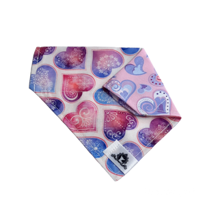 Foulard 2 en 1 pour chat et petit chien - StV030