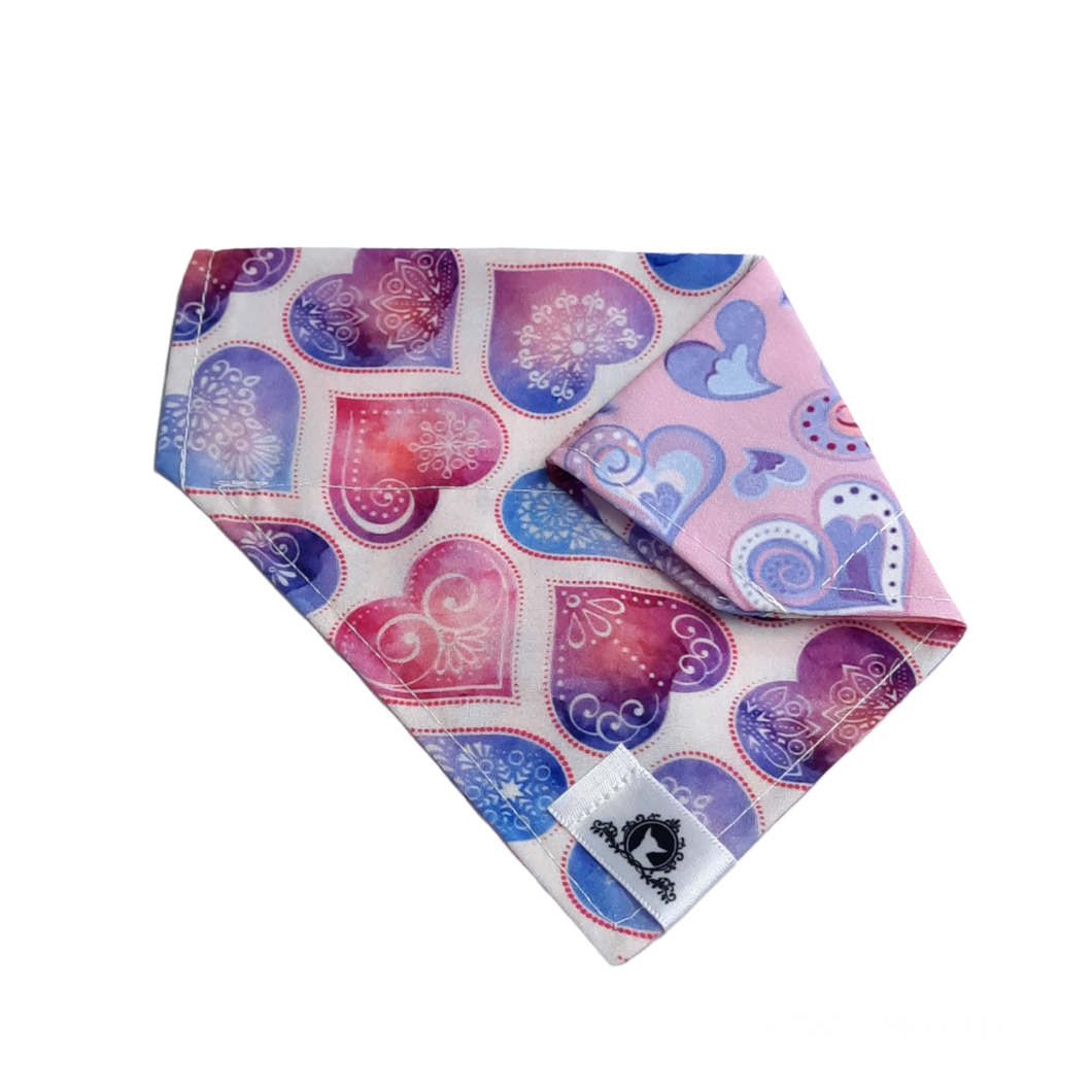 Foulard 2 en 1 pour chat et petit chien - StV030