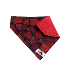 Charger l&#39;image dans la galerie, Foulard 2 en 1 pour chat et petit chien - StV001
