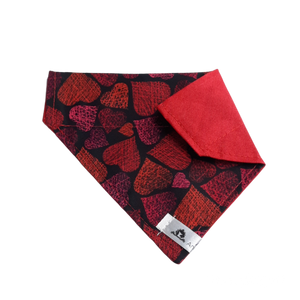 Foulard 2 en 1 pour chat et petit chien - StV001
