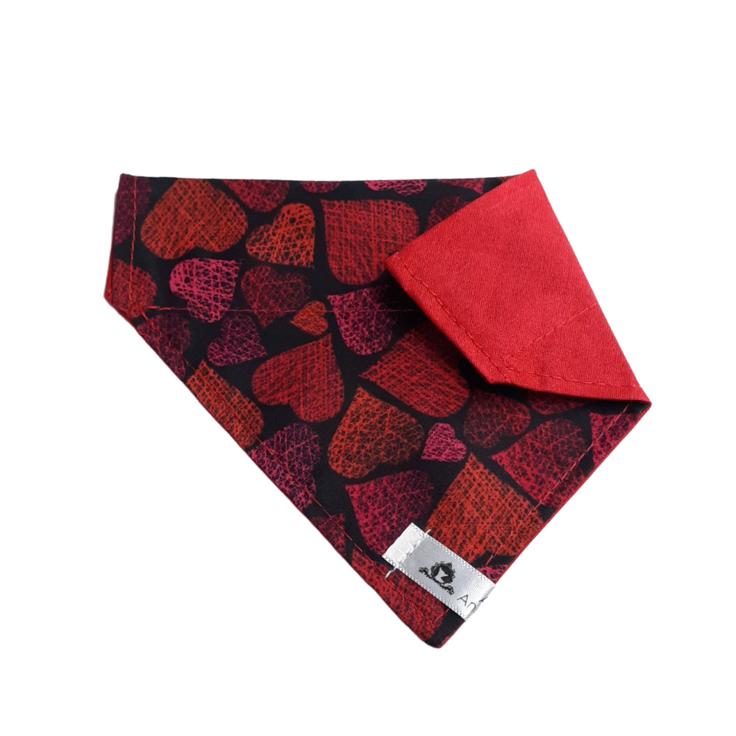 Foulard 2 en 1 pour chat et petit chien - StV001