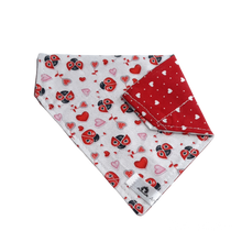 Charger l&#39;image dans la galerie, Foulard 2 en 1 pour chat et petit chien - StV009
