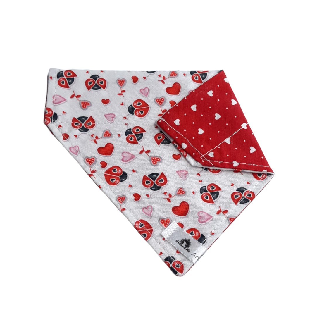 Foulard 2 en 1 pour chat et petit chien - StV009