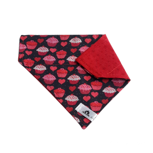 Foulard 2 en 1 pour chat et petit chien - StV006