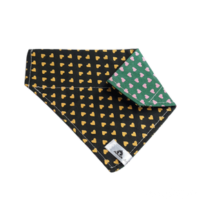 Foulard 2 en 1 pour chat et petit chien - StV004