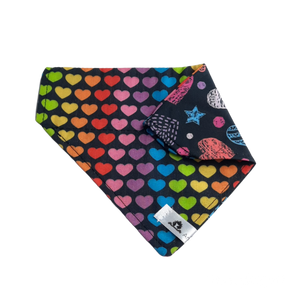 Foulard 2 en 1 pour chat et petit chien - StV002