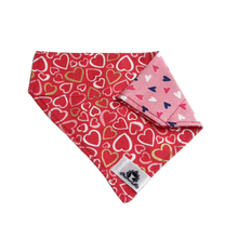 Charger l&#39;image dans la galerie, Foulard 2 en 1 pour chat et petit chien - StV025

