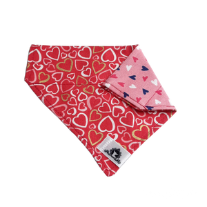 Foulard 2 en 1 pour chat et petit chien - StV025
