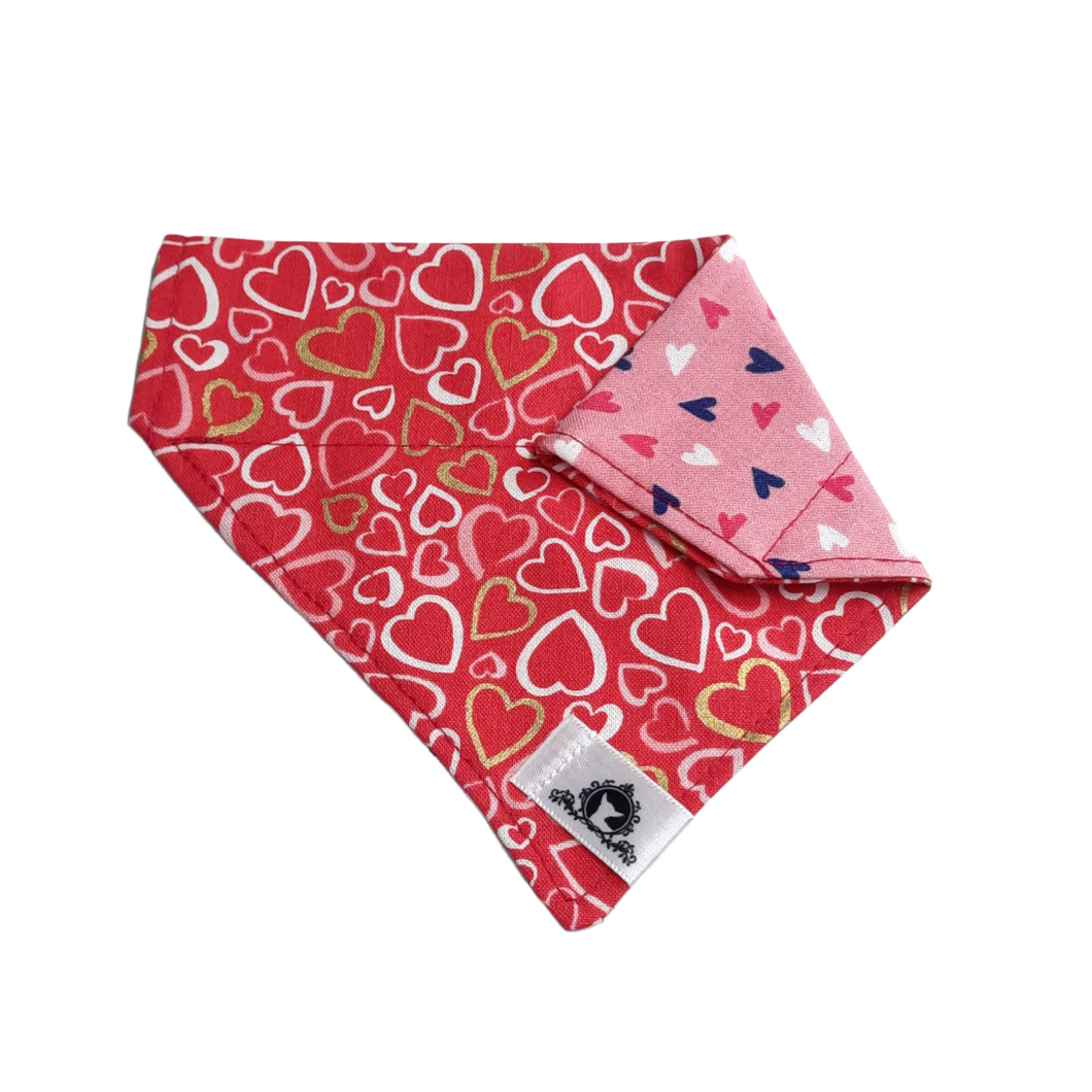 Foulard 2 en 1 pour chat et petit chien - StV025