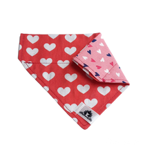 Charger l&#39;image dans la galerie, Foulard 2 en 1 pour chat et petit chien - StV027
