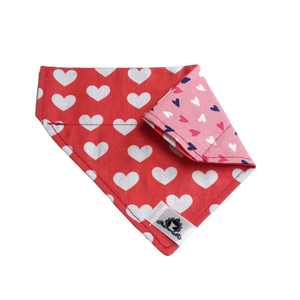 Foulard 2 en 1 pour chat et petit chien - StV027