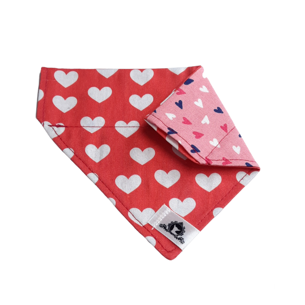 Foulard 2 en 1 pour chat et petit chien - StV027