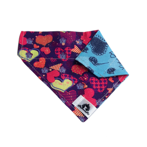 Foulard 2 en 1 pour chat et petit chien - StV035