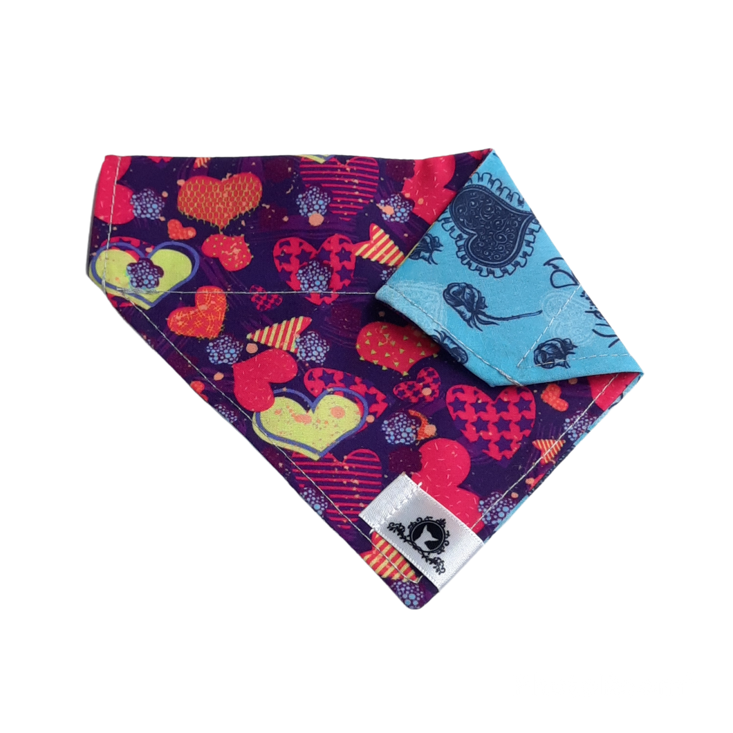 Foulard 2 en 1 pour chat et petit chien - StV035