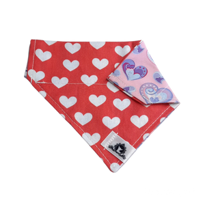 Foulard 2 en 1 pour chat et petit chien - StV046