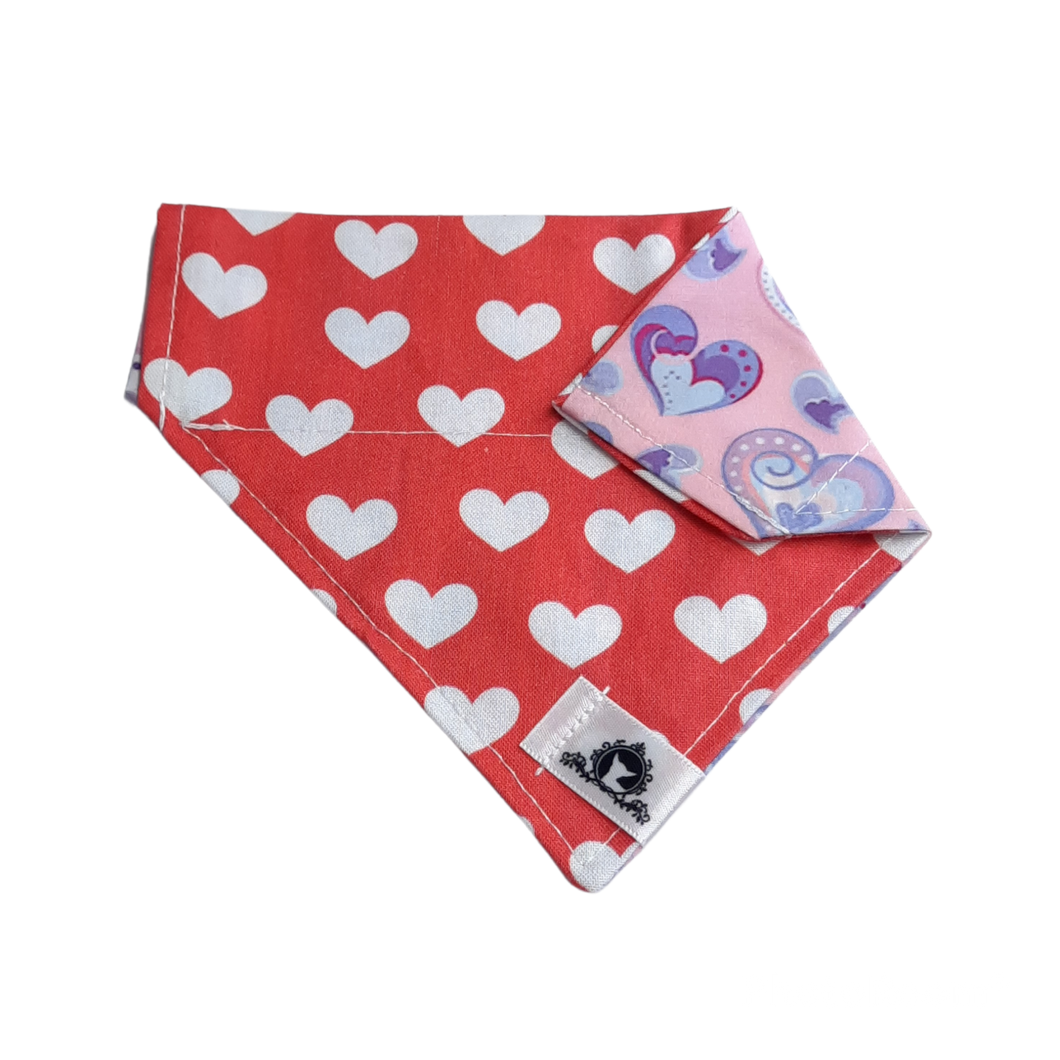 Foulard 2 en 1 pour chat et petit chien - StV046