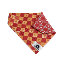 Charger l&#39;image dans la galerie, Foulard 2 en 1 pour chat et petit chien - StV039
