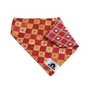 Foulard 2 en 1 pour chat et petit chien - StV039