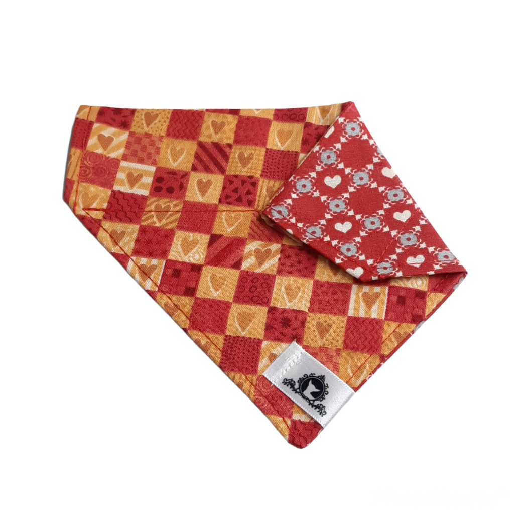 Foulard 2 en 1 pour chat et petit chien - StV039
