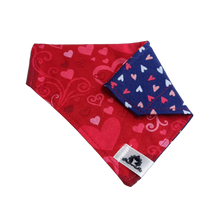 Charger l&#39;image dans la galerie, Foulard 2 en 1 pour chat et petit chien - StV037
