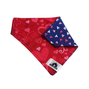 Foulard 2 en 1 pour chat et petit chien - StV037