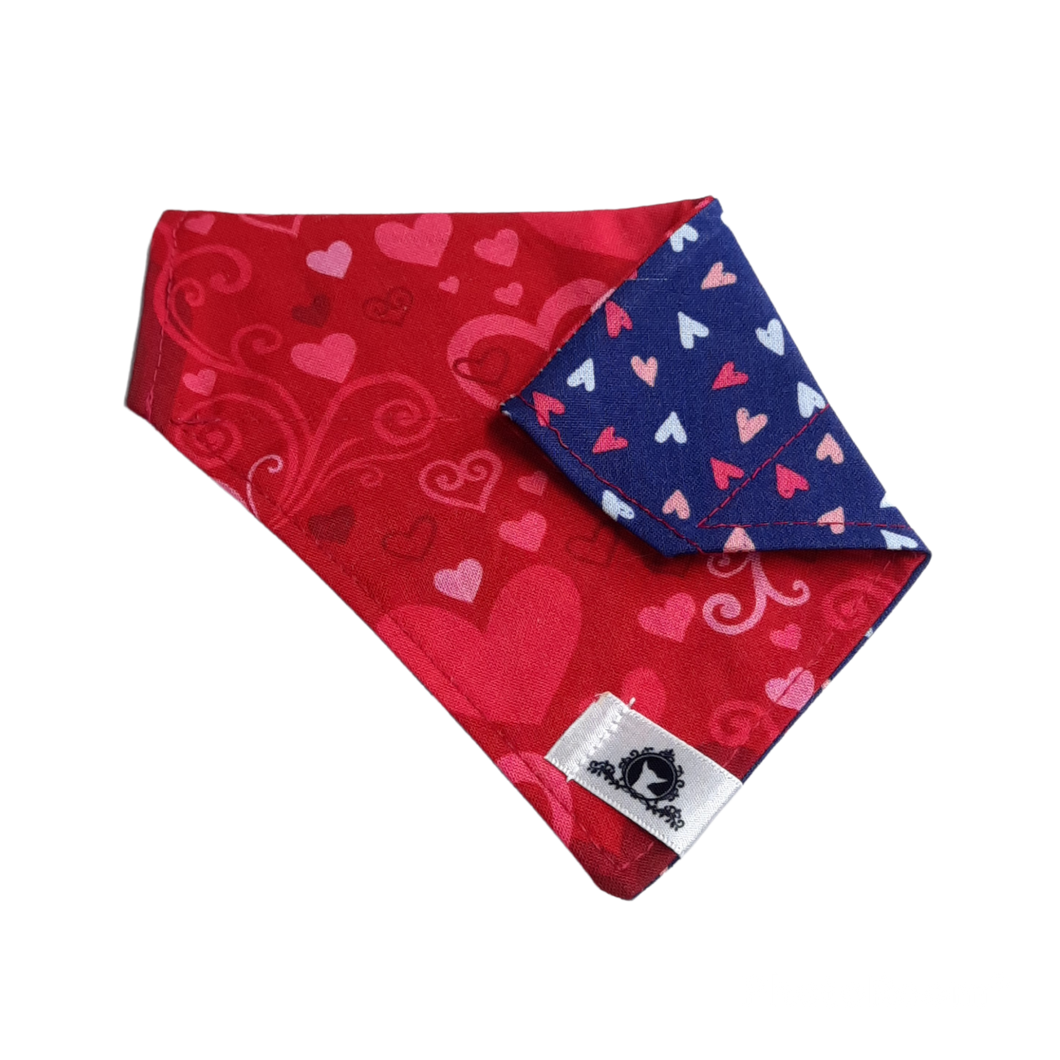 Foulard 2 en 1 pour chat et petit chien - StV037