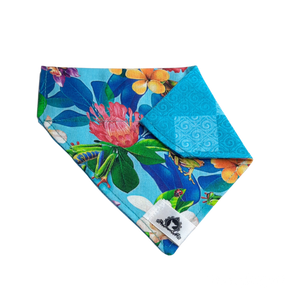 Foulard 2 en 1 pour chat et petit chien - PE007