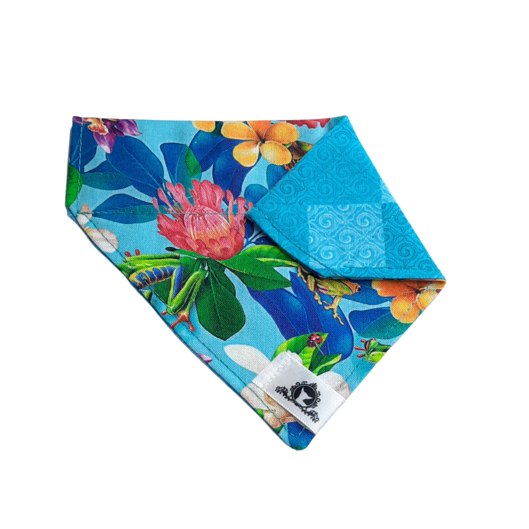 Foulard 2 en 1 pour chat et petit chien - PE007