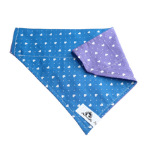 Charger l&#39;image dans la galerie, Foulard 2 en 1 pour chien moyen - StV020
