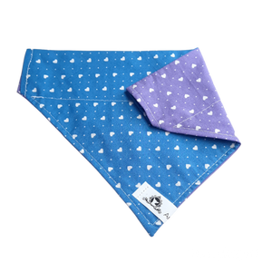 Foulard 2 en 1 pour chien moyen - StV020