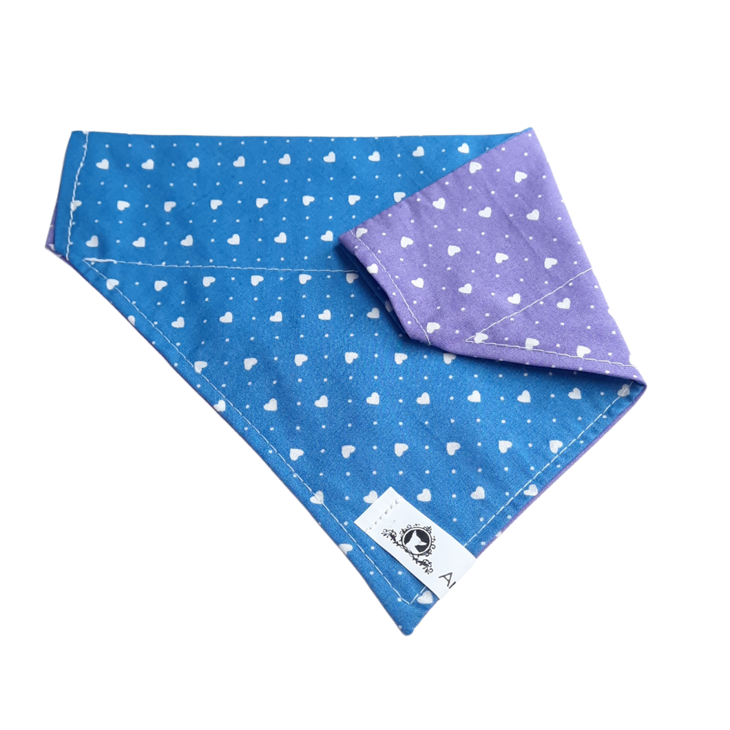Foulard 2 en 1 pour chien moyen - StV020
