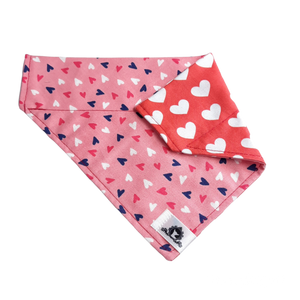 Foulard 2 en 1 pour chien moyen - StV028