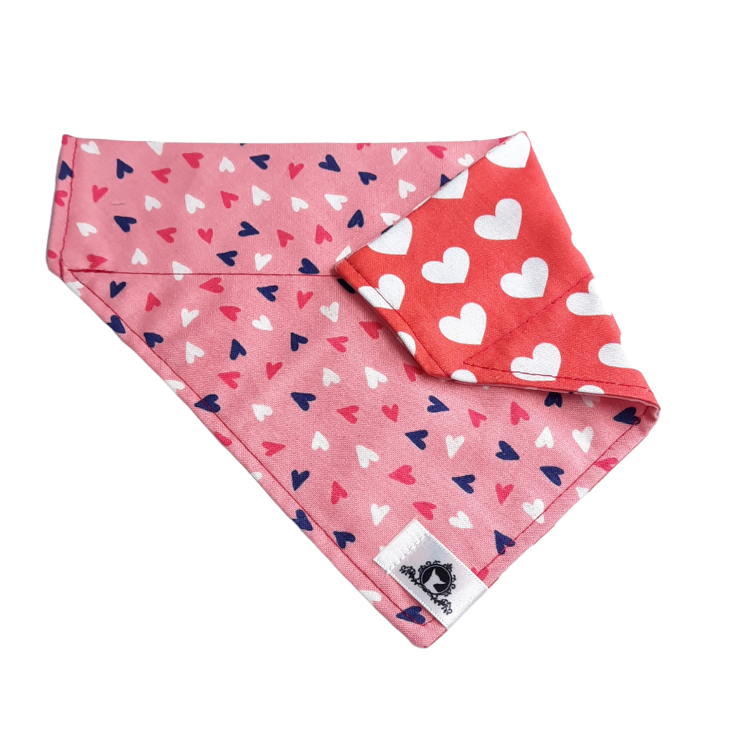 Foulard 2 en 1 pour chien moyen - StV028