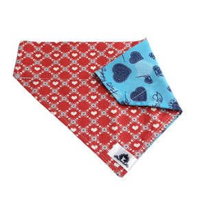 Foulard 2 en 1 pour chien moyen - StV031