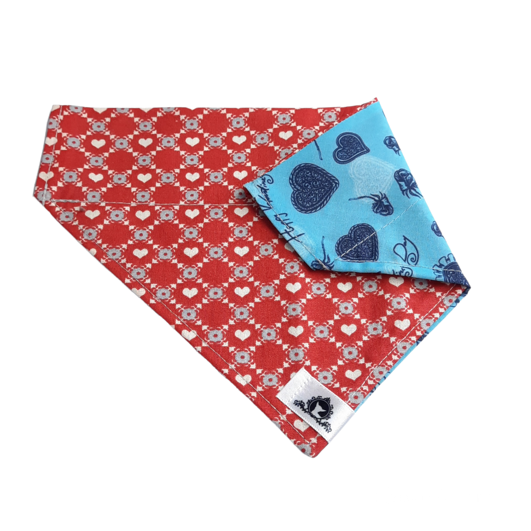 Foulard 2 en 1 pour chien moyen - StV031